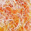 SOFPLATE 3 Sets 3 Colors Thanksgiving Day Themed Paper Shredded Paper Filler OCOR-SP0001-05-1