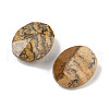 Natural Picture Jasper Cabochons G-C146-02C-2
