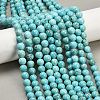 Natural Magnesite Beads Strands G-K244-02-8mm-01-5
