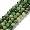 Natural Serpentine Bead Strands G-N166-26-2