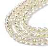 Electroplate Transparent Glass Beads Strands GLAA-H021-01B-FR04-5