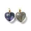 Natural Fluorite Pendants G-I311-A36-G-1