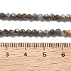 Natural HuBei Turquoise Beads Strands G-G140-A05-05-4