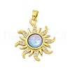 Brass Micro Pave Cubic Zirconia Pendants KK-V009-30G-04-2