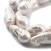 Natural Nucleated Pear Beads Strands PEAR-B004-15H-01A-3