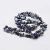 Natural Sodalite Beads Strands G-F328-25-2