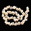 Natural Sea Shell Beads Strands BSHE-E026-14-5