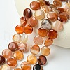 Flat Round Gemstone Natural Red Agate Stone Beads Strands G-S110-03-3