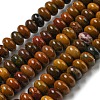 Natural Petrified Wood Beads Strands G-Z046-A02-01-1