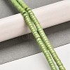 Synthetic Turquoise Beads Strands G-C101-K01-01B-2