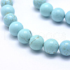 Natural Magnesite Beads Strands TURQ-G148-07-10mm-3