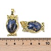 Natural Sodalite Pendant KK-F887-02G-20-3