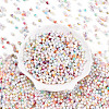 Baking Paint Glass Seed Beads SEED-N007-02A-2