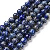 Natural Lapis Lazuli Beads Strands G-E483-17-10mm-2