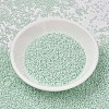 MIYUKI Delica Beads SEED-X0054-DB1506-2