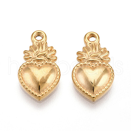304 Stainless Steel Charms STAS-N109-114G-1