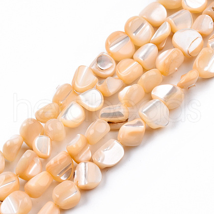 Natural Trochid Shell/Trochus Shell Beads Strands SSHEL-N032-49-A07-1