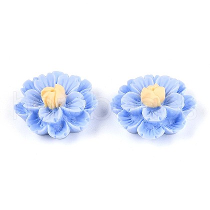 Resin Decoden Cabochons CRES-T025-04C-1