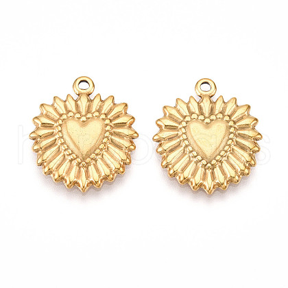 304 Stainless Steel Pendants STAS-N109-119G-1