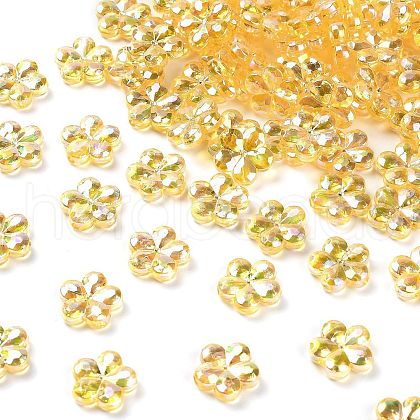 Transaparent Acrylic Beads PACR-H004-01D-1