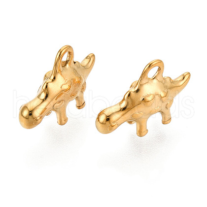 304 Stainless Steel Charms STAS-N112-12A-G-1