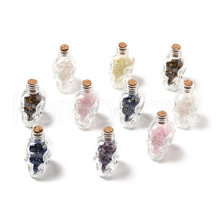 Mixed Gemstones Chips in Skull Glass Bottle Display Decorations DJEW-G039-02-1