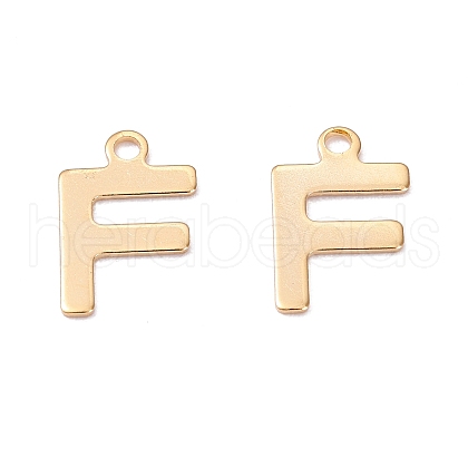 201 Stainless Steel Charms STAS-C021-06G-F-1