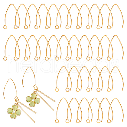 Unicraftale 50Pcs Ion Plating(IP) 304 Stainless Steel Earring Hooks STAS-UN0058-58-1