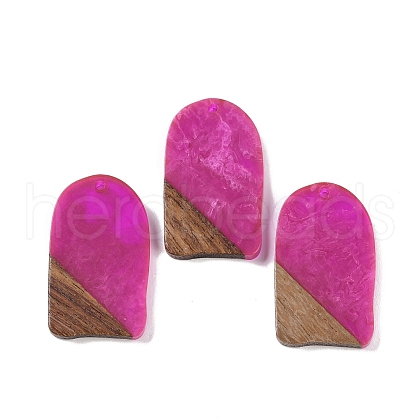 Resin & Wood Pendants WOOD-F015-13G-1
