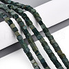 Natural Shoushan Jade Beads Strands G-T140-48B-1