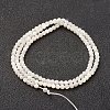 Natural White Shell Beads Strands X-G-G680-54-2