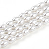 Baking Painted Pearlized Glass Pearl Bead Strands HY-T002-01C-01-3