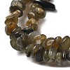 Natural Labradorite Beads Strands G-P332-23-8