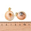 Brass Pave Natural Shell Pendants KK-H002-01G-3