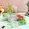 Transparent PET Tea Storage Boxes CON-WH0106-08H-5