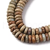 Natural Aqua Terra Jasper Beads Strands G-L624-H03-6x2mm-4
