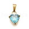 304 Stainless Steel Micro Pave Cubic Zirconia Pendants STAS-B086-13G-03-1