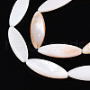Natural Freshwater Shell Beads Strands PBB220Y-1-01-3