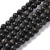Dyed Natural Regalite/Imperial Jasper/Sea Sediment Jasper Beads Strands G-B124-C02-05-1