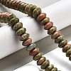 Natural Unakite Beads Strands G-P559-A06-02-2