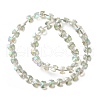 Electroplate Glass Beads EGLA-F163-01-FR04-2