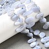 Natural Blue Lace Agate Spike Slice Beads Strands G-NH0046-B01-01-1