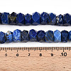Natural Lapis Lazuli Beads Strands G-N347-09A-10-5