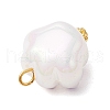 Acrylic Pendants PALLOY-JF03927-02-5