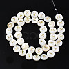 Natural Freshwater Shell Beads SHEL-S276-168X-2