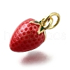 Brass with Enamel Charms KK-Q066-01E-G-2