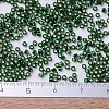 MIYUKI Delica Beads SEED-X0054-DB0148-4