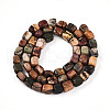 Natural Picasso Jasper/Polychrome Jasper Beads Strands G-N346-04A-05-3