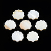 Natural Freshwater Shell Beads SHEL-T007-02-3