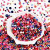 Glass Seed Beads SEED-N007-13I-2
